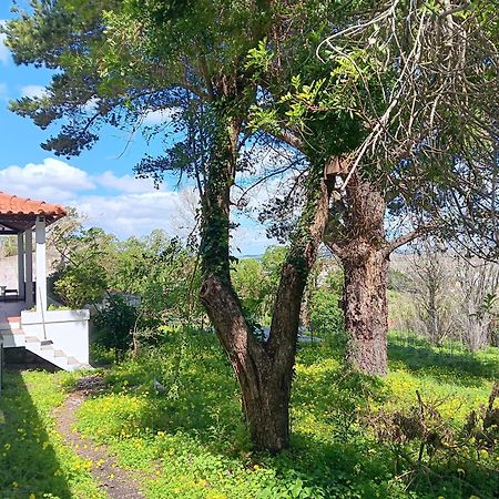 Villa Quintinha A 35Min De Lisboa Mafra Exterior foto