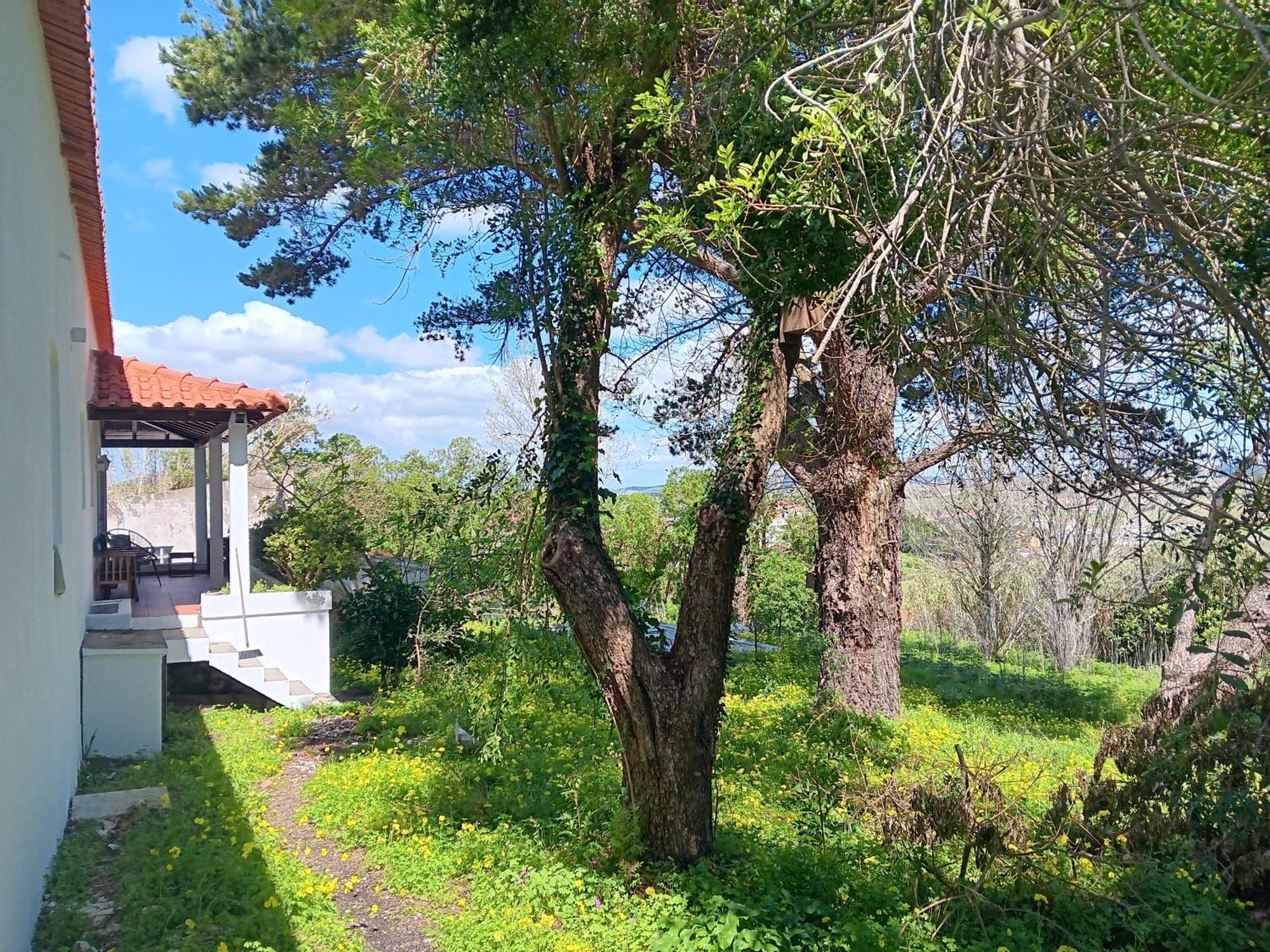 Villa Quintinha A 35Min De Lisboa Mafra Exterior foto